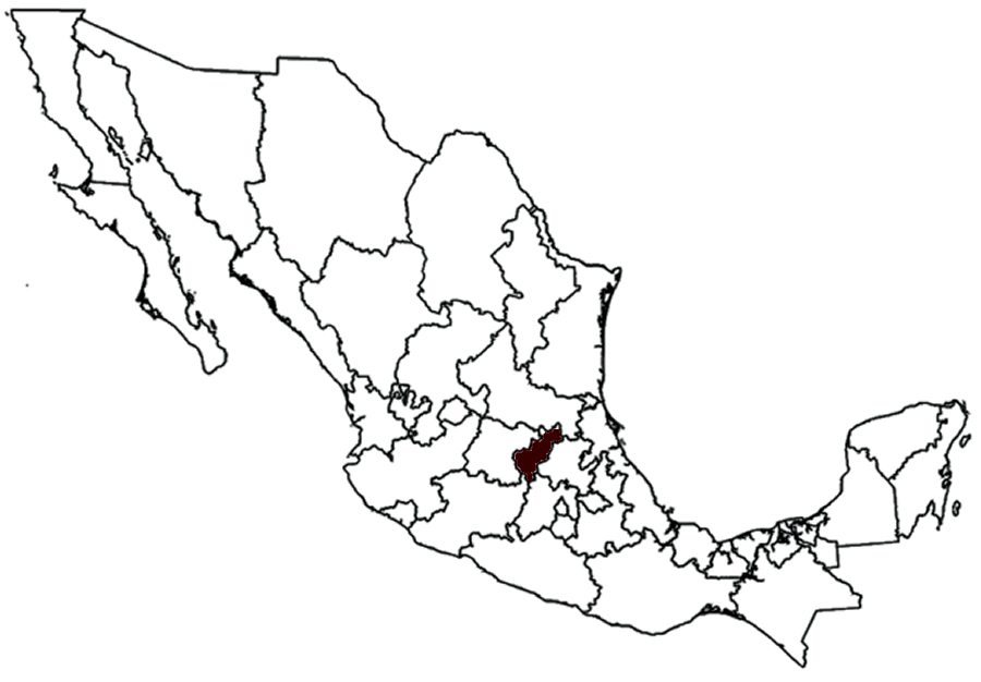 mapa queretaro con foto