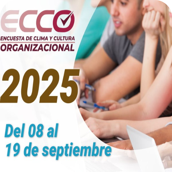 ecco encuesta