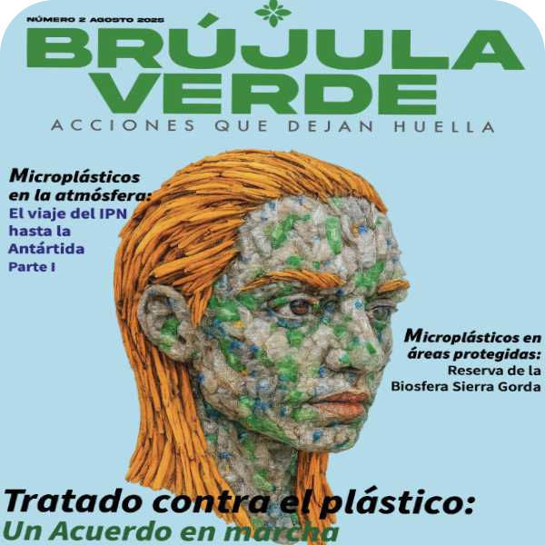 brujula verde