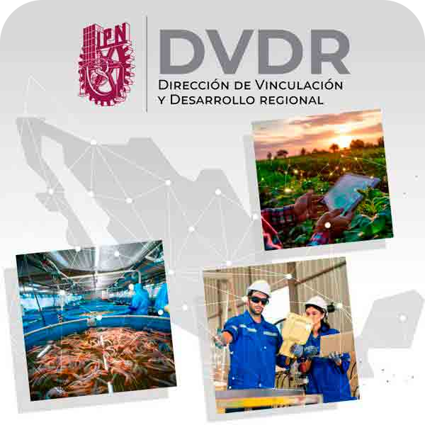 dvdr